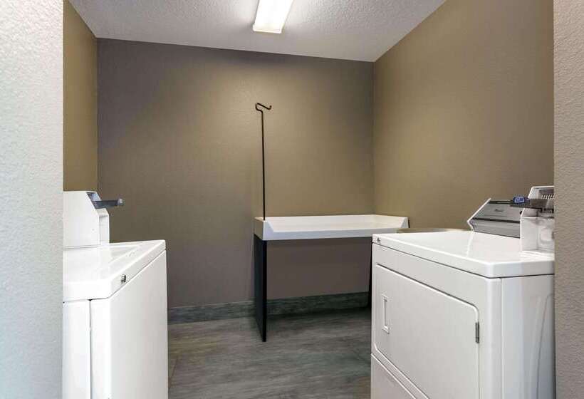 فندق La Quinta By Wyndham Tampa Central