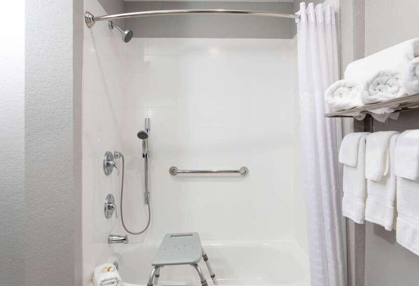 فندق La Quinta By Wyndham Tampa Central