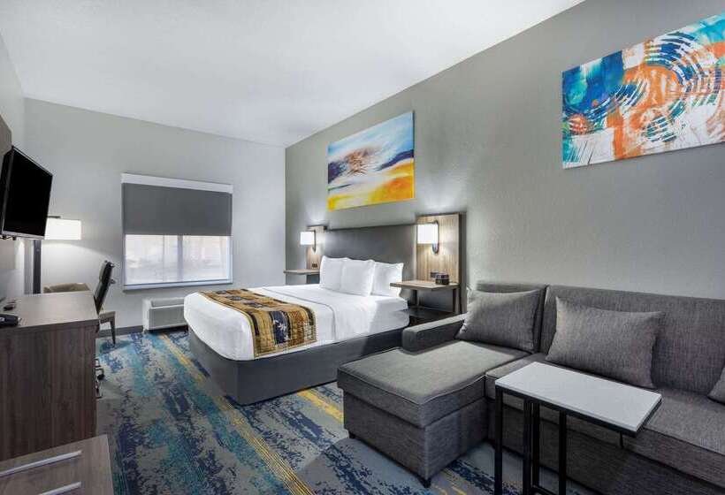 فندق La Quinta By Wyndham Tampa Central