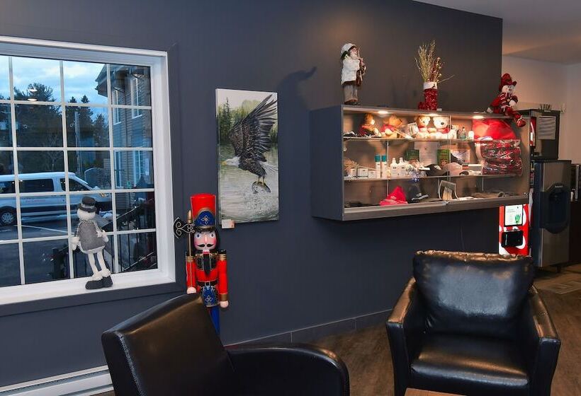 فندق Hôtel Et Pavillons Le Petit Manoir Du Casino