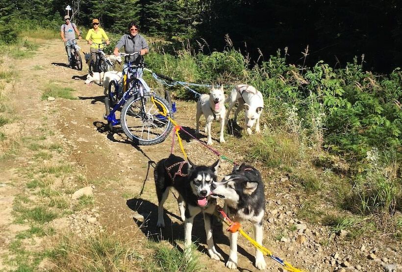 فندق Hôtel Et Pavillons Le Petit Manoir Du Casino
