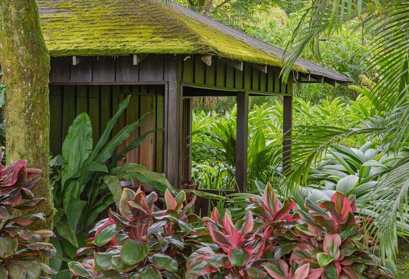 فندق Lomas Del Volcan