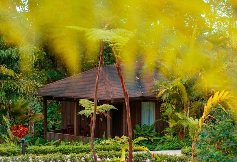 فندق Lomas Del Volcan