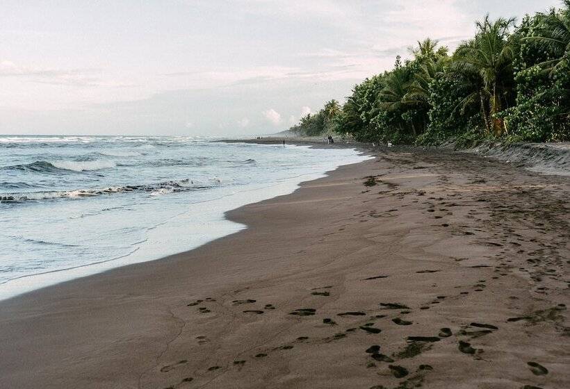 酒店 Mawamba Lodge