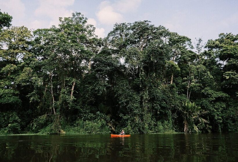 酒店 Mawamba Lodge