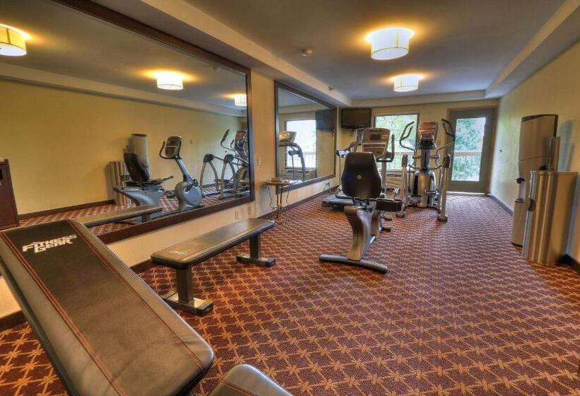 هتل Quality Inn Near The Island Pigeon Forge