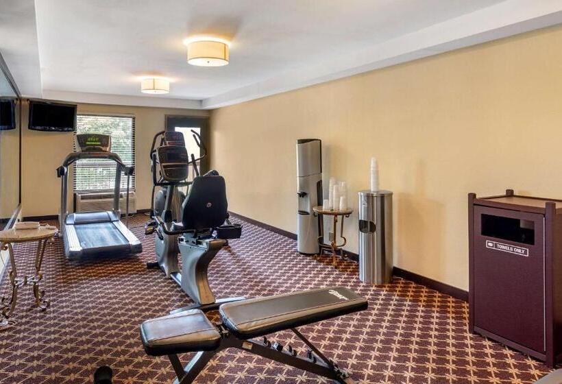 هتل Quality Inn Near The Island Pigeon Forge