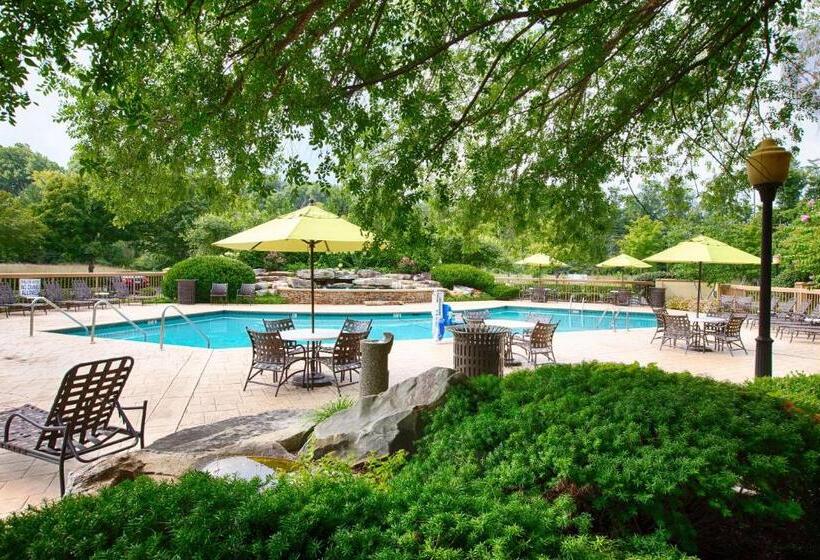 هتل Quality Inn Near The Island Pigeon Forge