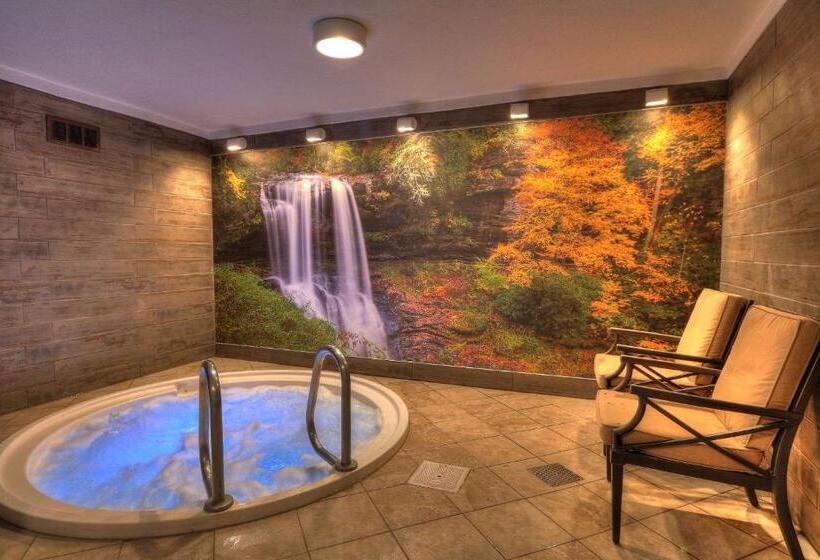 هتل Quality Inn Near The Island Pigeon Forge