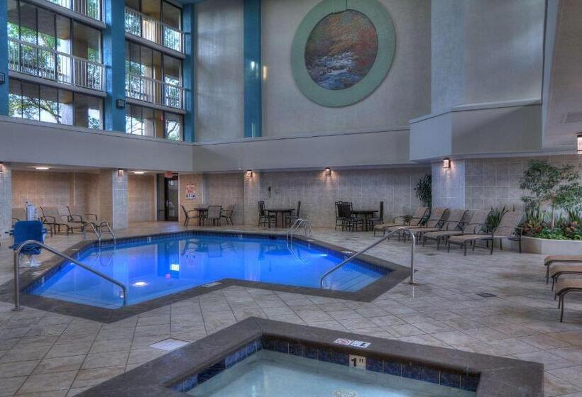 هتل Quality Inn Near The Island Pigeon Forge