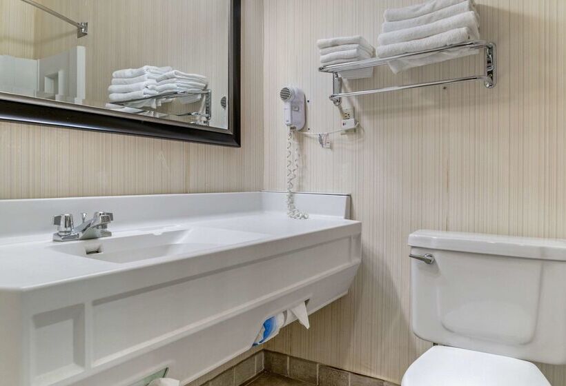 ホテル Quality Inn