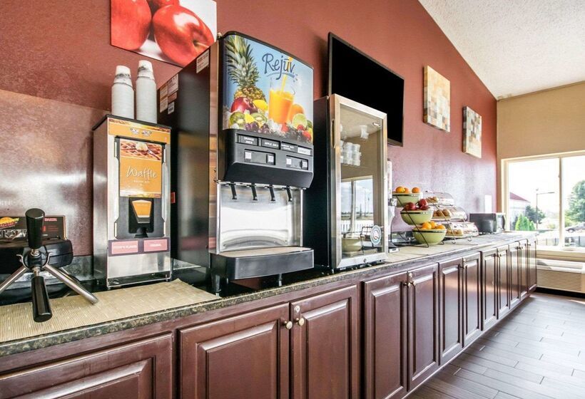 酒店 Quality Inn & Suites