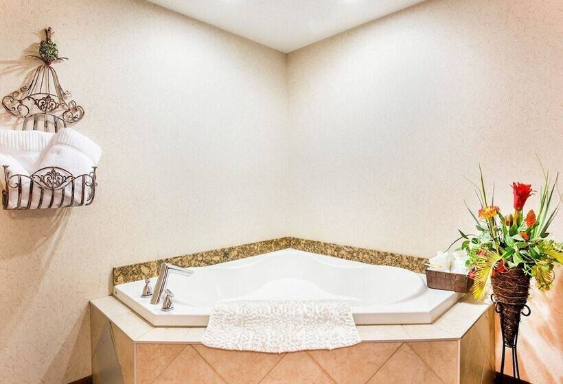 فندق Quality Inn & Suites