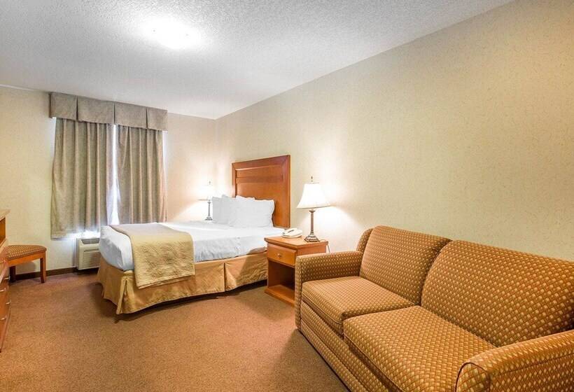 فندق Quality Inn & Suites