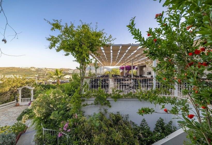 هتل Riva Bodrum Resort Adult Only +16