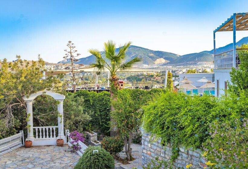 هتل Riva Bodrum Resort Adult Only +16