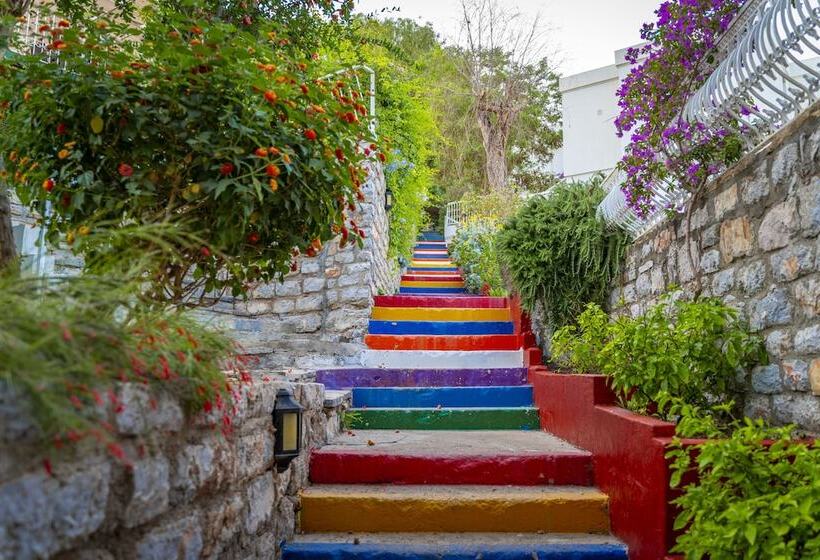 هتل Riva Bodrum Resort Adult Only +16