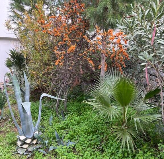 هتل Riva Bodrum Resort Adult Only +16