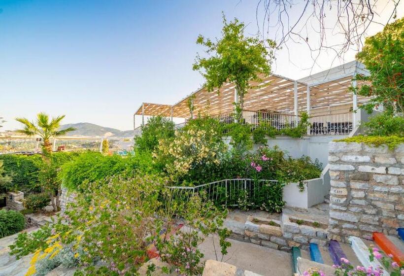 هتل Riva Bodrum Resort Adult Only +16