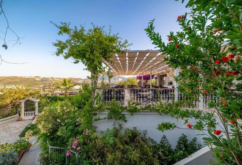 هتل Riva Bodrum Resort Adult Only +16