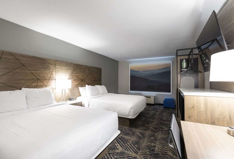 Отель Rodeway Inn & Suites Near Outlet Mall Asheville