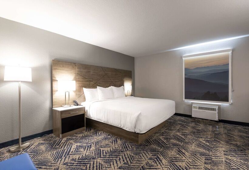 Отель Rodeway Inn & Suites Near Outlet Mall Asheville