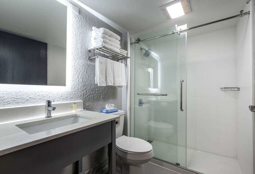 Отель Rodeway Inn & Suites Near Outlet Mall Asheville