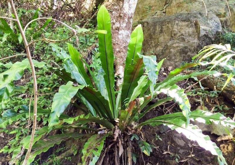 酒店 Roydon Beachfront Apartments