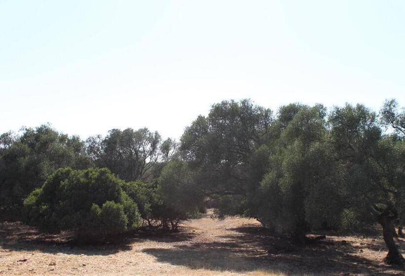 فندق ريفى Agroturismo Finca Son Pieras