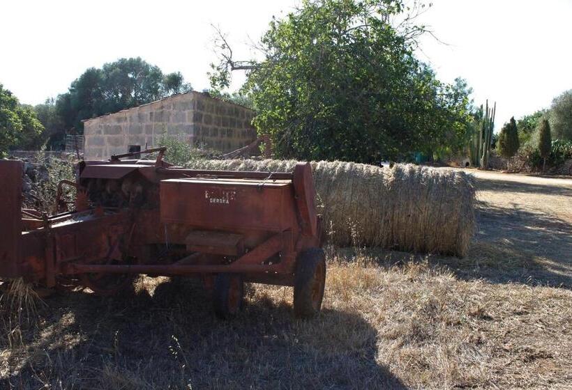 فندق ريفى Agroturismo Finca Son Pieras