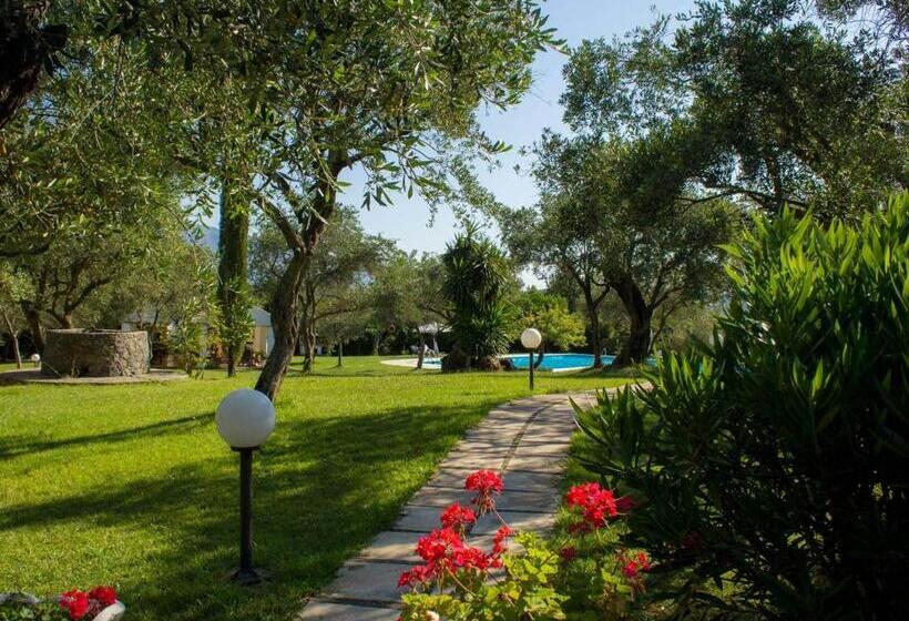 Отель Saint Nicholas