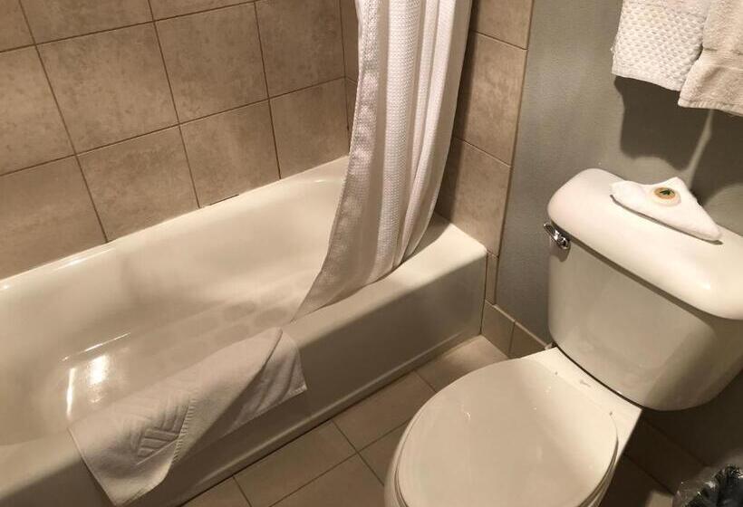 Отель Shilo Inn Portland Rose Garden Convention Center