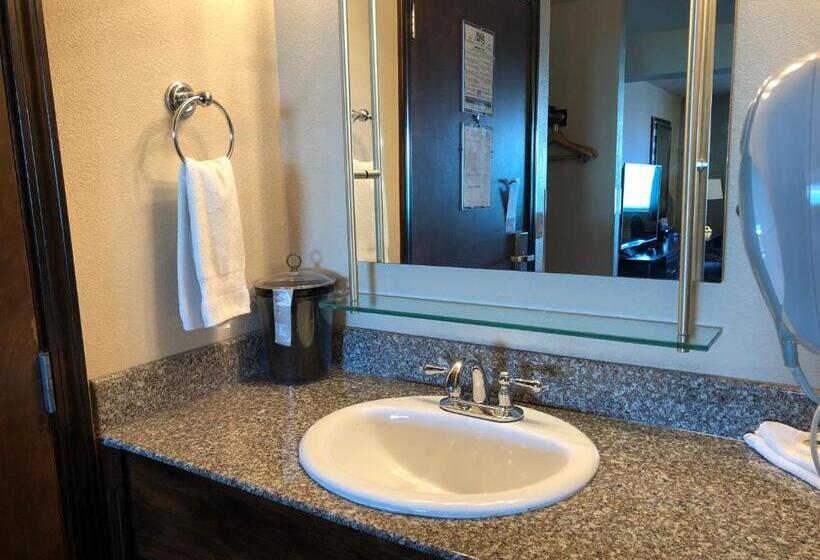 Отель Shilo Inn Portland Rose Garden Convention Center