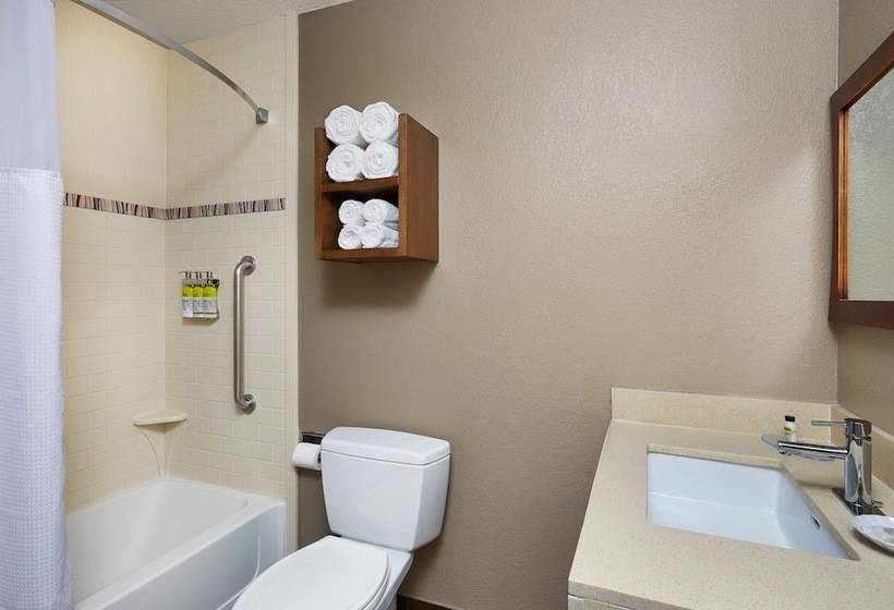 호텔 Staybridge Suites Orlando South, An Ihg