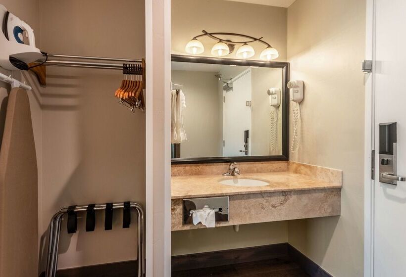 Surestay Plus Hotel By Best Western Rexburg