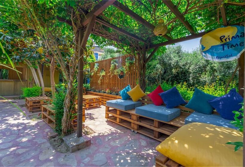 Telatiye Resort Hotel   All Inclusive