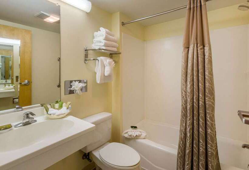 ホテル The Carriage House Inn Newport