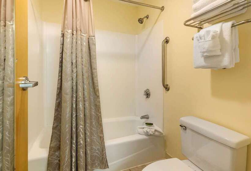 ホテル The Carriage House Inn Newport