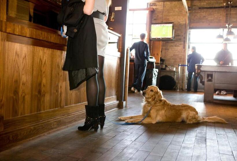 בית מלון כפרי The Iron Horse