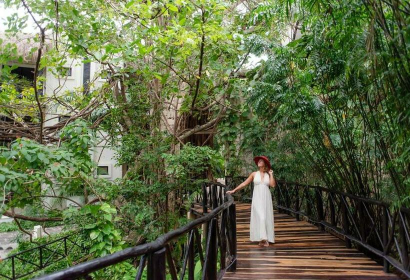 호텔 The Reef Playacar Resort