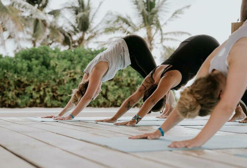 호텔 The Reef Playacar Resort