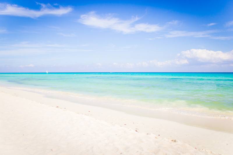 호텔 The Reef Playacar Resort