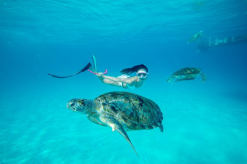 فندق The Taaras Beach & Spa Resort