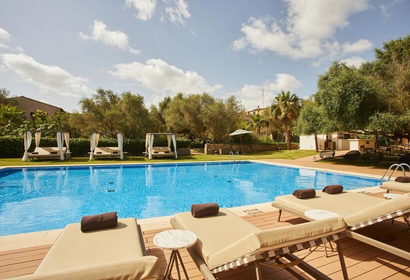 호텔 Zoetry Mallorca Wellness & Spa