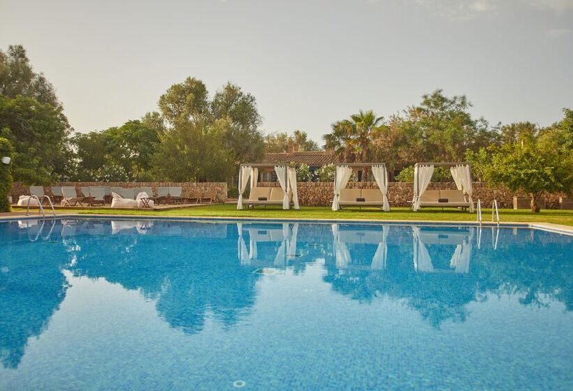 호텔 Zoetry Mallorca Wellness & Spa