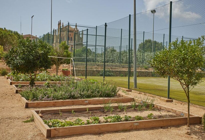 호텔 Zoetry Mallorca Wellness & Spa