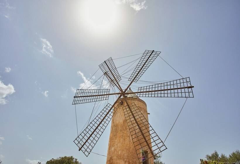 호텔 Zoetry Mallorca Wellness & Spa