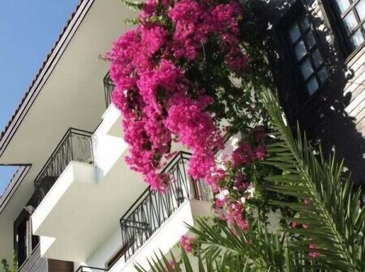 Lemas Suite