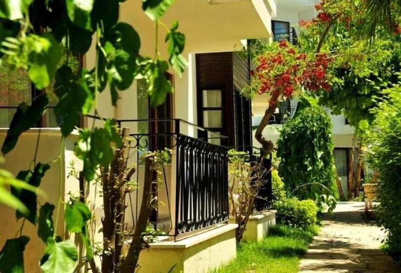 Lemas Suite