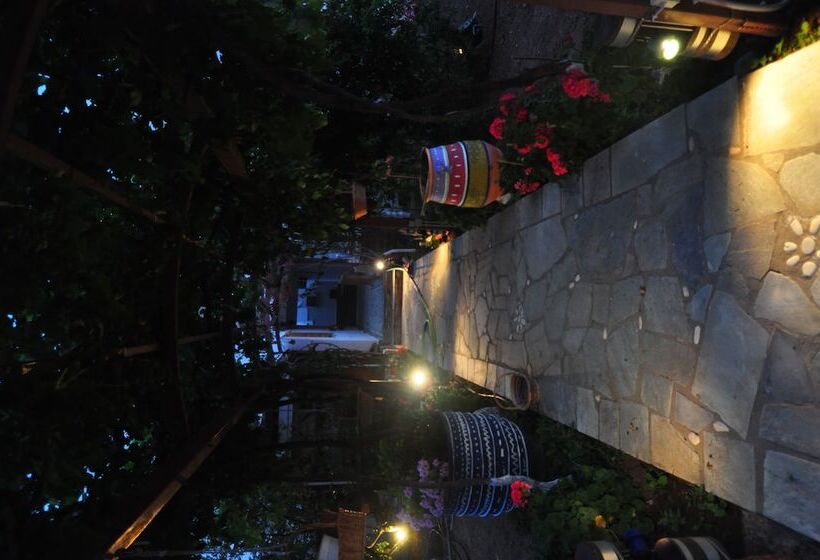 پانسیون Villa Mata